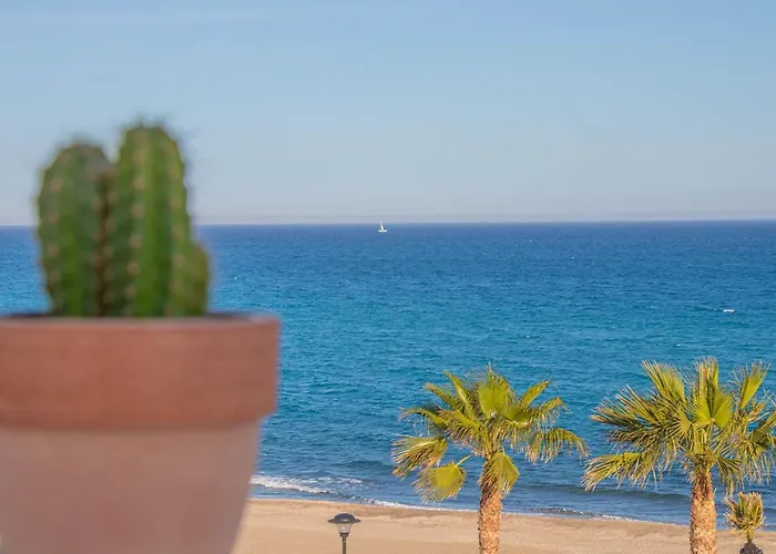 La Esperanza Beach- Zona Pubs Y Restaurantes
